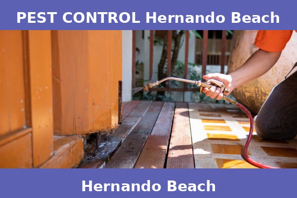PEST CONTROL Hernando Beach